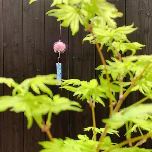 Holiday home 桃夭庵 Touyouan Momo House Kujo 一棟貸切