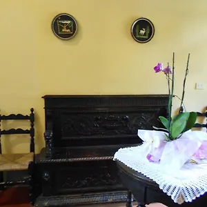 Elena 2*, Forte dei Marmi Italia